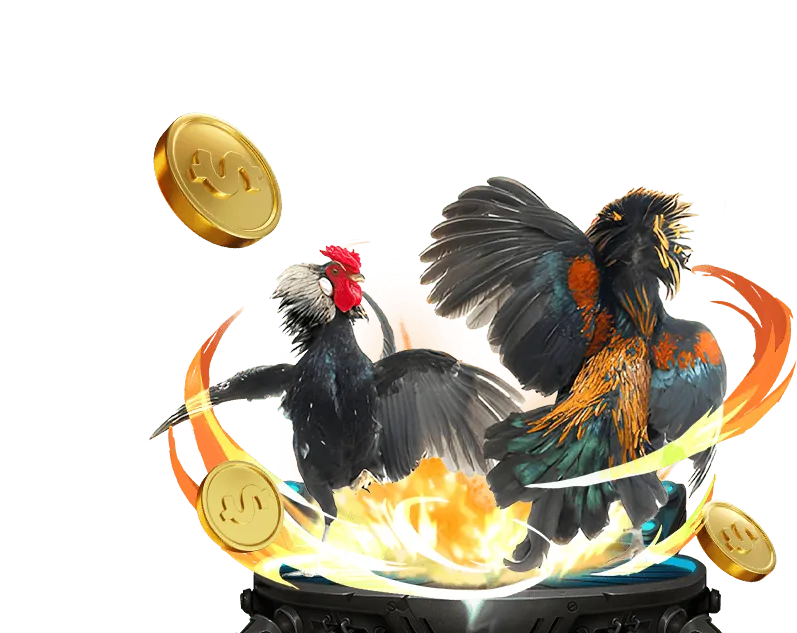 Minh họa các loại cookie của gacam677